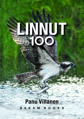 LINNUT 100